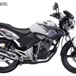 Honda Tiger Loyal White