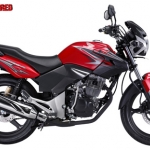 Honda Tiger Respect Red
