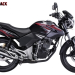 Honda Tiger Unity Black