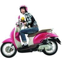 3 Tips Memilih Motor Bagi Kaum Perempuan tips memilih motor bagi kaum perempuan