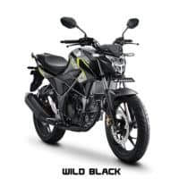 Honda CB150R StreetFire Wild Black