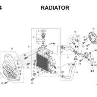 E14 Radiator Thumb