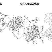 E15 Crankcase Thumb