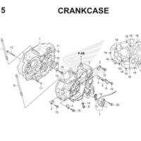 E15 Crankcase Thumb