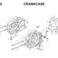 E15 Crankcase Thumb
