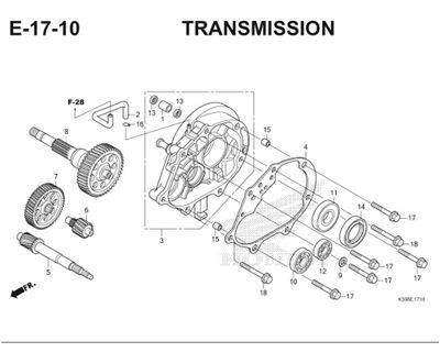 E17 10 Transmission Thumb