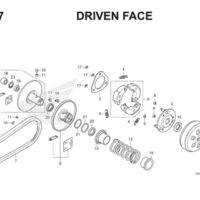 E17 Driven Face Thumb