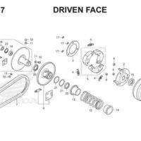E17 Driven Face Thumb