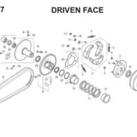E17 Driven Face Thumb