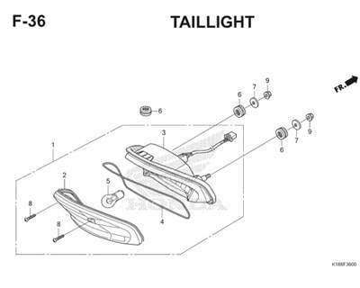 F36 Taillight Thumb