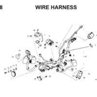 F38 Wire Harness Thumb