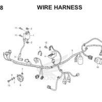 F38 Wire Harness Thumb