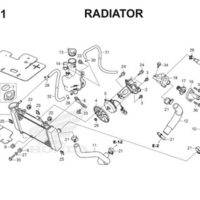 F41 Radiator Thumb