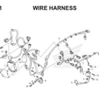 F41 Wire Harness Thumb