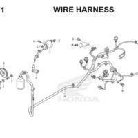 F41 Wire Harness Thumb