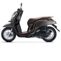 scoopy esp stylish matte brown