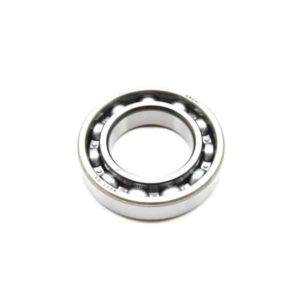 Brg Ball Radial 6007 91002KVY901