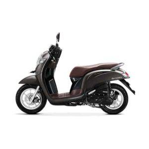 New Honda Scoopy Stylish Matte Brown