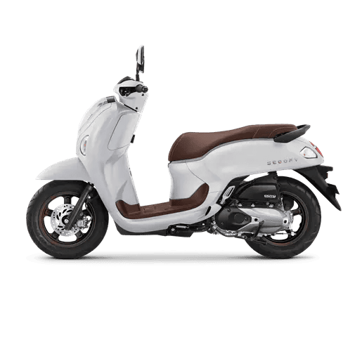 Honda-Scoopy-Prestige-White