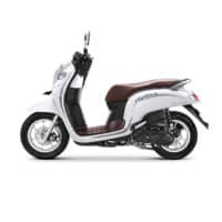 Honda Scoopy