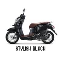 Honda Scoopy Stylish Honda Scoopy Stylish