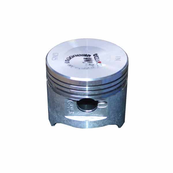 Piston 0.25 - 13102GN5913