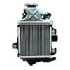 Radiator Honda  Vario 125 eSP