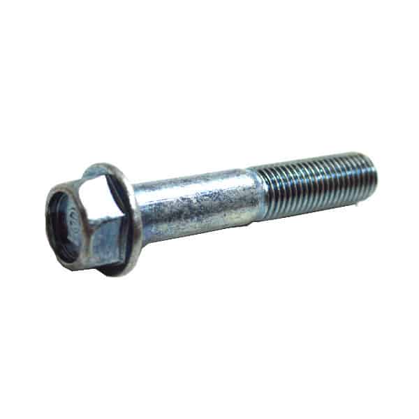 Bolt-Flange-10X55-958011005500
