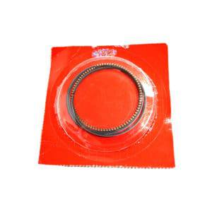 Ring-Set-Piston-(1.00)-13051K25600