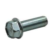 Bolt-Flange-10X30-957011003000