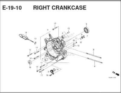 E19-10 Right Crankcase Cover