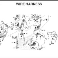 F41 Wire Harness