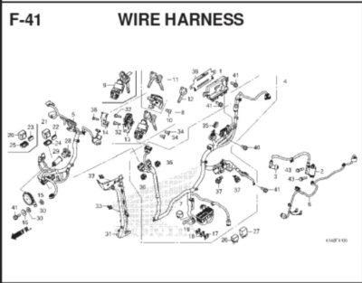 F41 Wire Harness