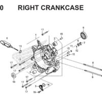E-19-10-RIGHT-CRANKCASE