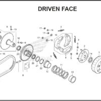 E-17 Driven Face