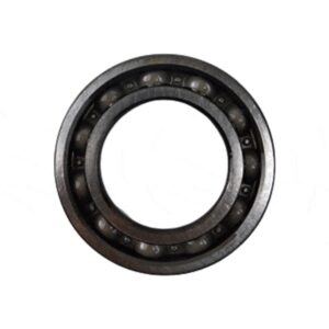 BRG-BALL-RADIAL-6007-91002K46N21