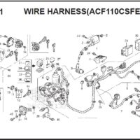 F-41-1 Wire Harness (ACF110CSFE) – Katalog Suku Cadang Honda Scoopy FI – 2