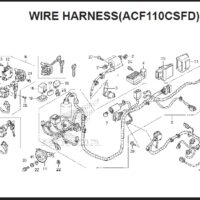 F-41 Wire Harness (ACF110CSFD) – Katalog Suku Cadang Honda Scoopy FI – 2