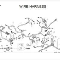 F-27 Wire Harness