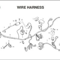 F-38 Wire Harness – Katalog Suku Cadang Honda Blade 110