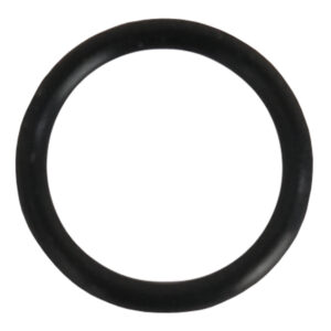 O-RING-19309K0RV02