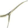Stripe Right Front Top Cover Type 2 Honda Genio - Image 3