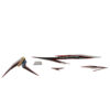 871X0K46N30ZBR-STRIPE-SET-R-RED