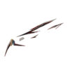 871X0K46N30ZBR-STRIPE-SET-R-RED-IMAGE