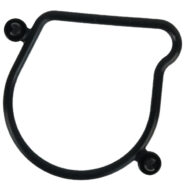 O-RING-THROTTLEBODY-16075K2SN01