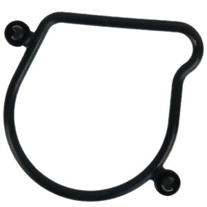 O-RING-THROTTLEBODY-16075K2SN01