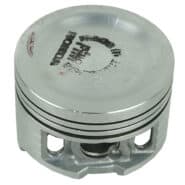 PISTON-0-25-13102K41N00
