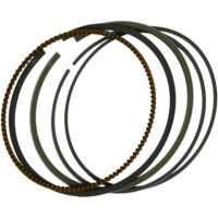 Ring Seher Standar Honda CBR 250RR K64J