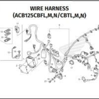 F-41 Wire Harness – Katalog Suku Cadang Honda Vario 125 K2V F-41 Wire Harness – Katalog Suku Cadang Honda Vario 125 K2V