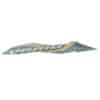 86832K2VN50ZB-STRIPE-A-R-BODY-COVER-TYPE-1